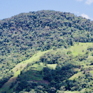 Peru | Levi Dominguez