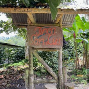 Colombia | Decaf